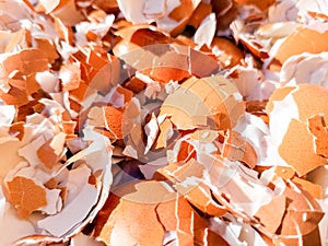 Crushed Egg Shells
