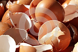 Crushed egg shells, realistic nature broken, damage on easter eggshells, backgrounds, biological junk waste from restaurant
