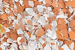 Crushed egg shells photo