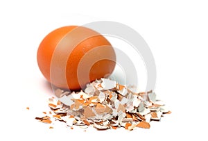 Crushed eggshells in close-up