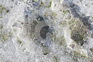 Crushed Fozen Puddle Amoung Green Grass