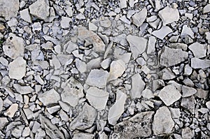 Crushed Rocks on Gros Morne Mountain