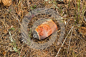 Crushed rusty aluminum can lying on ground in forest