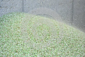 Crushed small pieces of glass are gathered for recycling in a machine in a recycling facility.