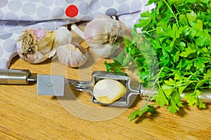 Crushing garlic to add to the dish. Whole and chopped garlic on a cutting Board made from natural oak. Fresh parsley.