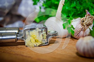 Crushing garlic to add to the dish. Whole and chopped garlic on a cutting Board made from natural oak. Fresh parsley.