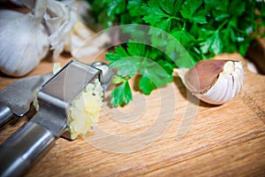 Crushing garlic to add to the dish. Whole and chopped garlic on a cutting Board made from natural oak. Fresh parsley.