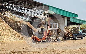 Crushing machine of wood