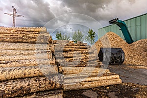 Crushing machine of wood and logs to process waste and transform into pellets