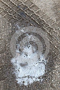 Crust of ice on a puddle of leaves