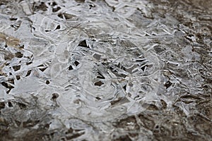 Crust of ice on a puddle of leaves