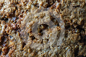 Crust on oat cookies as an abstract background or texture, closeup, top view, macro