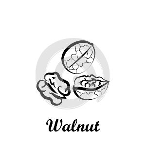 Crustaceans, fruit, walnut icon. Element of Crustaceans icon. Hand drawn icon for website design and development, app development