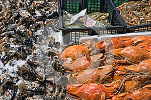 Crustaceans and oysters for sale