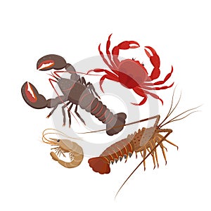 Crustaceans set of vector illustrations in flat design isolated on white background. Lobster, Spiny lobster, Srimp, rab.