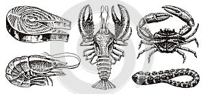 Crustaceans, shrimp, lobster or crayfish, salmon steak, crab with claws. River and lake or sea creatures. Freshwater