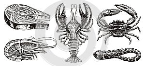 Crustaceans, shrimp, lobster or crayfish, salmon steak, crab with claws. River and lake or sea creatures. Freshwater photo