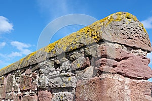 Crustose Lichen and Red Stone Wall