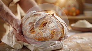 The crusty round loaf. AI generated