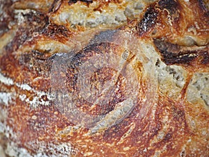 crusty sourdough bread surface extreme close up (macro of boule) crust, crunchy, rustic country loaf