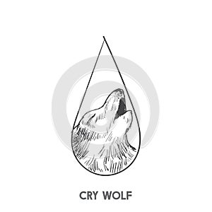Cry wolf idiom illustration vector photo