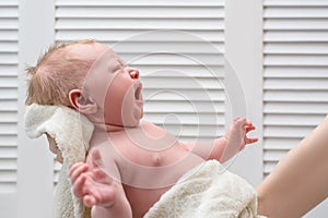 Crying blond baby without clothes. Infant colic. On hands, white background