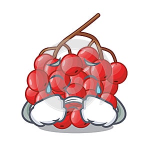 Crying rowan slices fruit cartoon berries shape photo