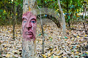 Crying tree face nature deforestation