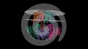 Cryo-EM structure of Ca2+-free human Slo1 channel