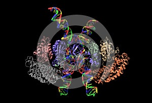 Cryo-EM structure of human T-cell leukemia virus type-1 HTLV-1 intasome