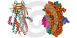 Cryo-EM structure of SARS-CoV-2 ORF3a