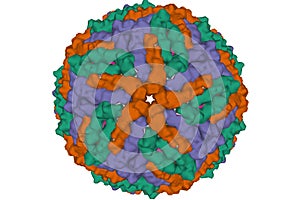 The cryo-EM structure of Zika Virus photo