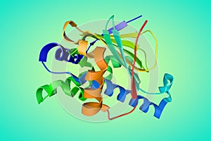 Cryogenic human heat-shock protein HSP 90a-NTD bound to adenine. Ribbons diagram based on protein data bank entry 7s90 photo