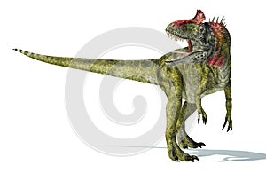 Cryolophosaurus dinosaur, photorealistic representation. Dynamic photo