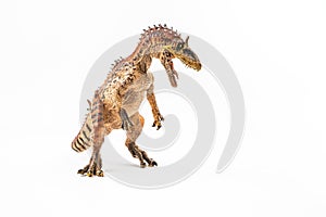 Cryolophosaurus  , Dinosaur on white background