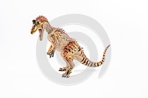Cryolophosaurus  , Dinosaur on white background