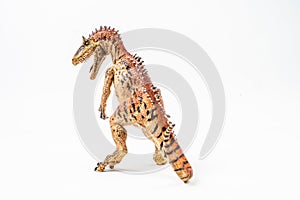 Cryolophosaurus  , Dinosaur on white background
