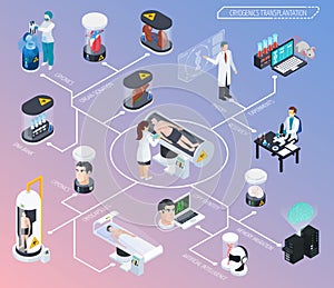 Cryonics Flowchart Isometric Composition