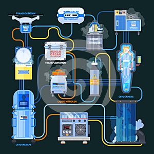 Cryonics Transplantation Flat Flowchart photo