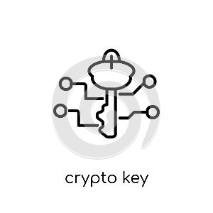 crypto key icon. Trendy modern flat linear vector crypto key icon on white background from thin line Cryptocurrency economy and f