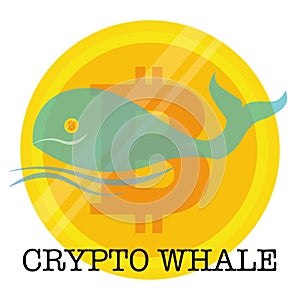 Crypto Whale consept vector illustration on a white background