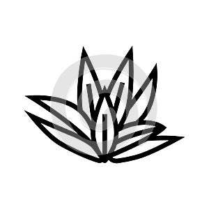 cryptocoryne wendttii line icon vector illustration