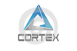 The cryptocurrency logo. The original