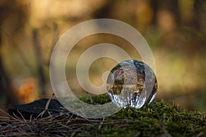 A crystal ball lies on a moss in the forest. Selective soft focus. Reflection of the forest. Environment concept. Concept and them