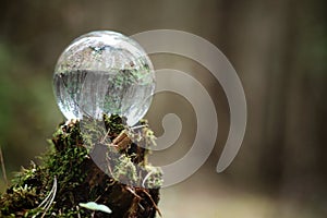 Crystal ball. A magical accessory in the woods on the stump. Rit