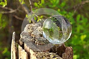 A crystal ball for optical illusion. Nature view through a crystal ball