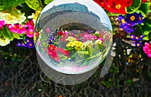 Crystal ball reflections flowers  Ritz Carlton half moon bay