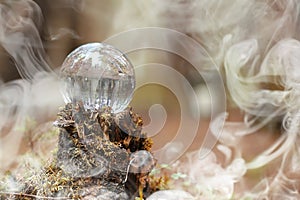 A crystal ball in the smoke. A magical accessory in the woods on the stump. Ritual ball of witches and sorcerers on an old rotten