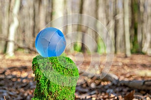 Crystal blue Globe In Green Forest