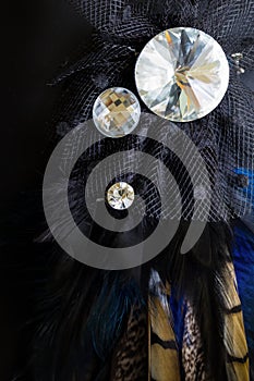 Crystal Broach with Feather